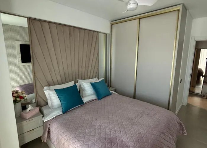 Alezzi Odyssey * Navodari